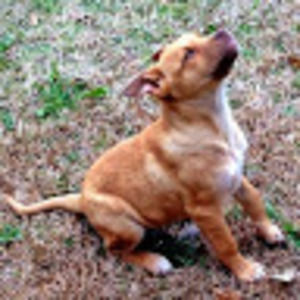 Meet your Posher, Adrienne